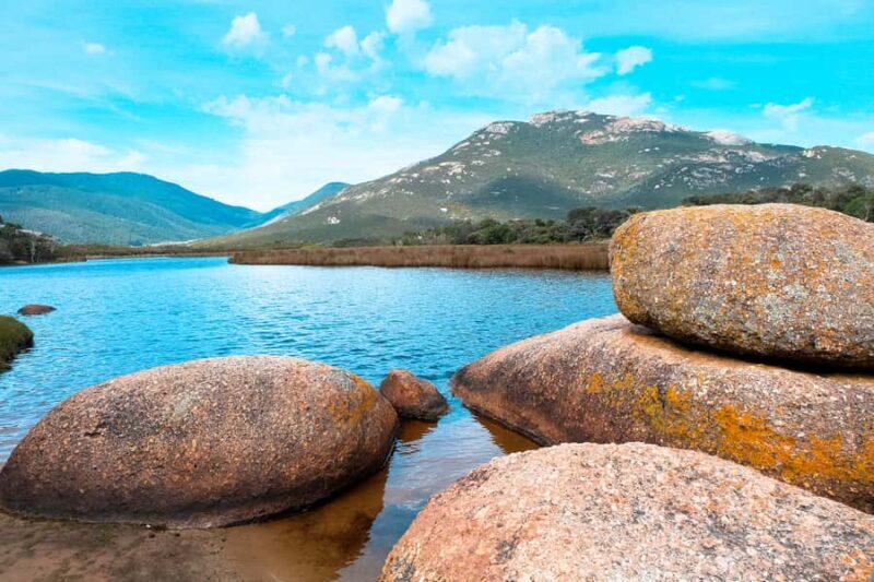 From Melbourne: Wilsons Promontory Small Group Day Tour - How Does It Compare in Value?