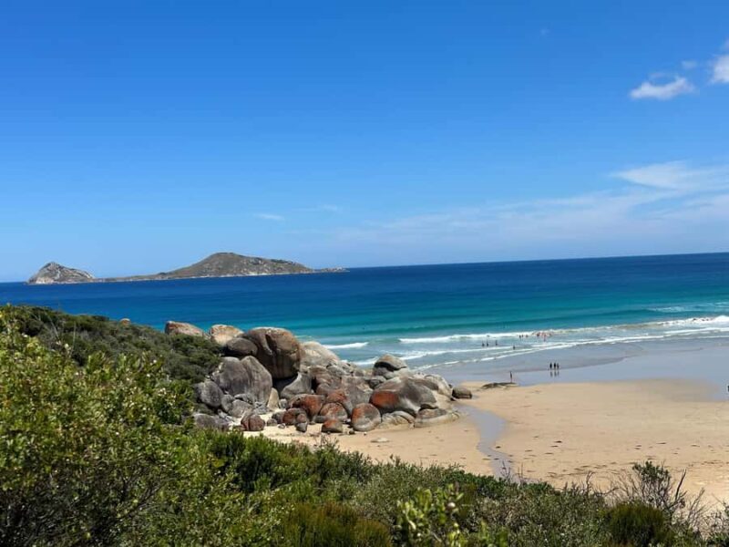 From Melbourne: Wilsons Promontory Wilderness Tour - Key Points