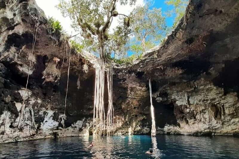 From Merida: 3 Cenotes - The Journey and Its Highlights