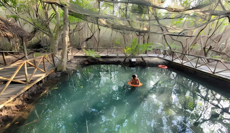 From Merida: Beach, Mangrove and something more - Key Points