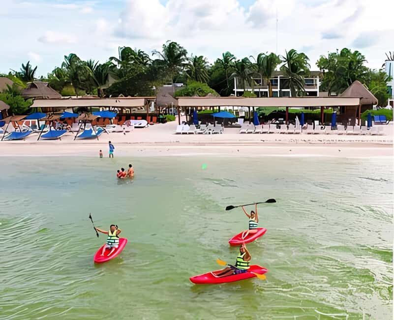 From Merida: Beach, Mangrove and something more - Why This Tour Could Be a Great Fit