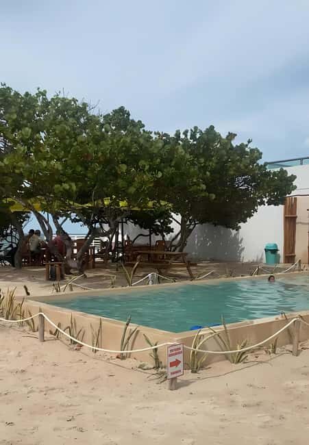 From Mérida: Beach Tour - The Experience in Detail