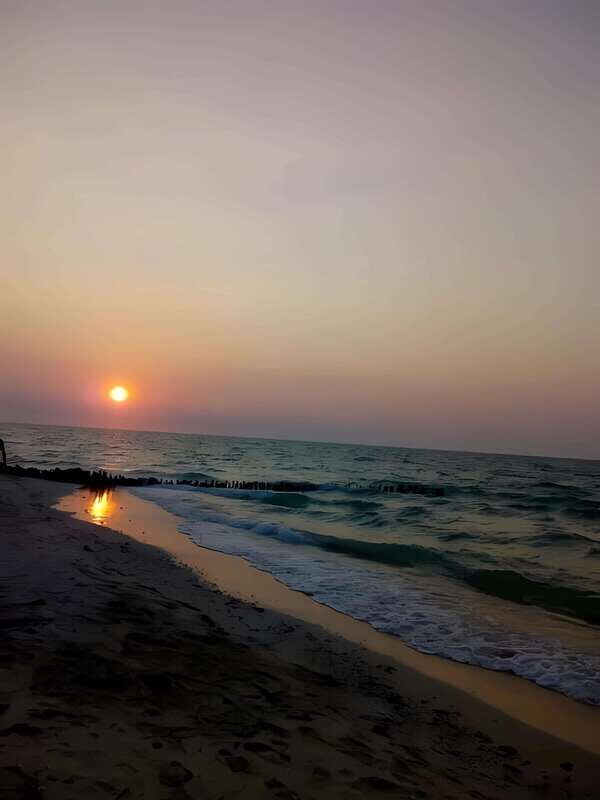 From Mérida: Beach Tour - Who Would Enjoy This Tour?