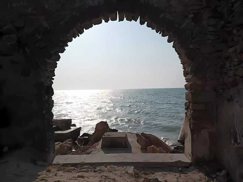 From Merida: Celestun, flamingos and beach - Final Thoughts