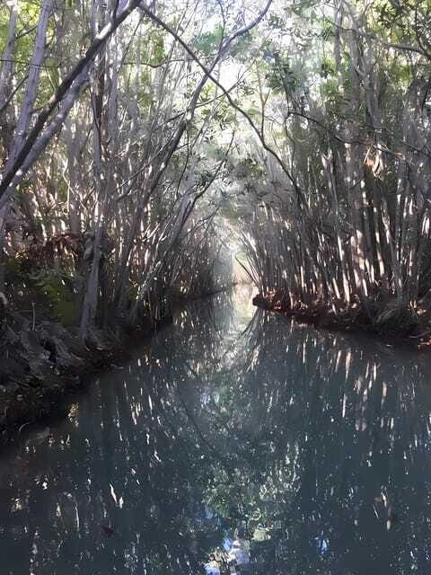 From Mérida: Enjoy nature, cenotes and beach in one day - Final Thoughts: Is This Tour Right for You?
