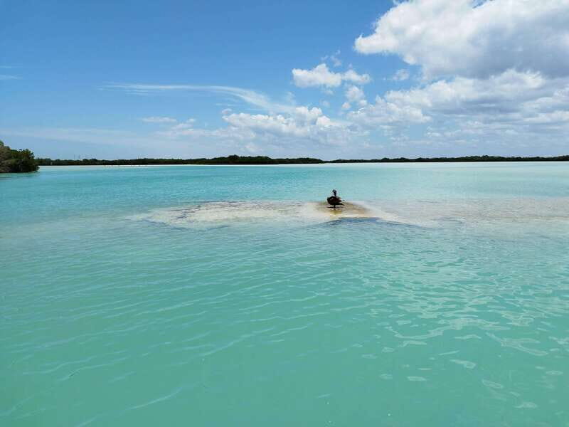 From Merida: Isla Columpios & Progreso - What You Can Expect from the Tour