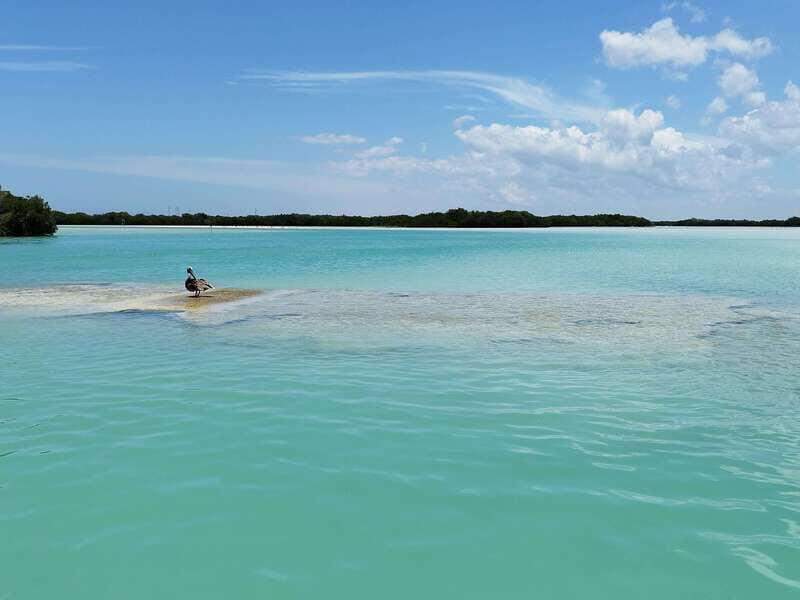 From Merida: Isla Columpios & Progreso - FAQ