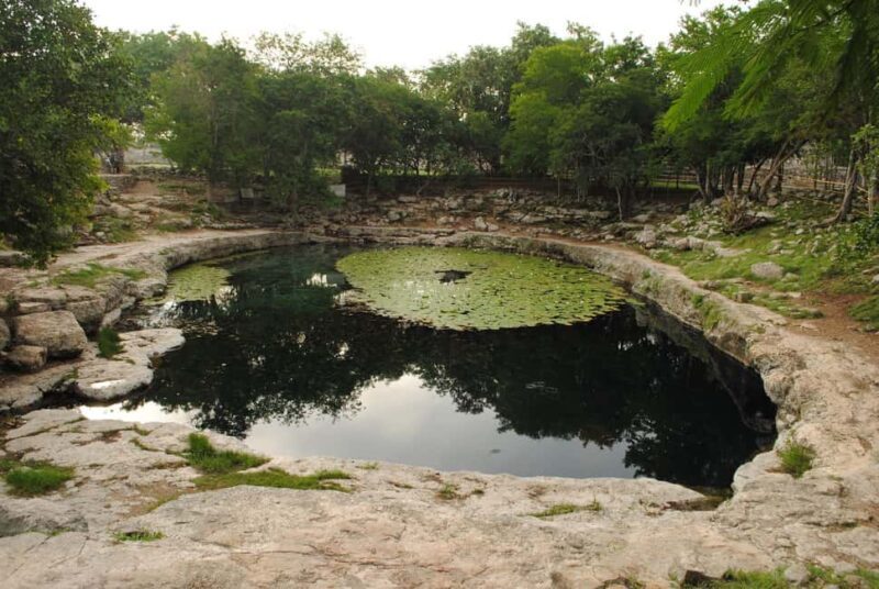 From Mérida: Mayan Dzibilchaltún & Progreso Beach Tour - A Deep Dive into the Tour Experience