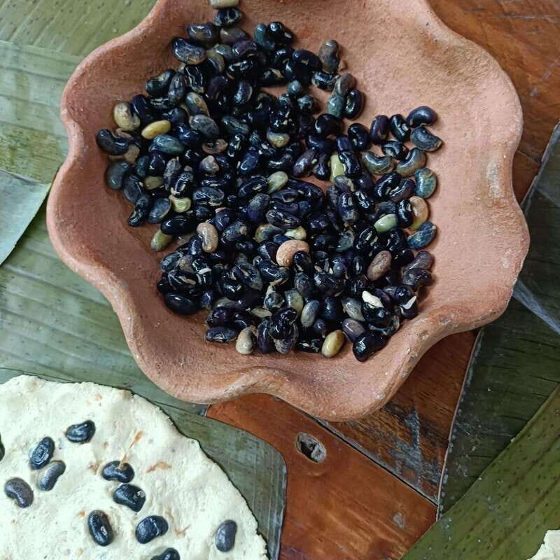 From Merida: Peanuts, our Mayan ancestors - Who Would Love This Tour?