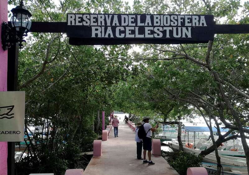 From Mérida: Ria Celestun Biosphere Reserve Tour - Beach and Relaxation Time