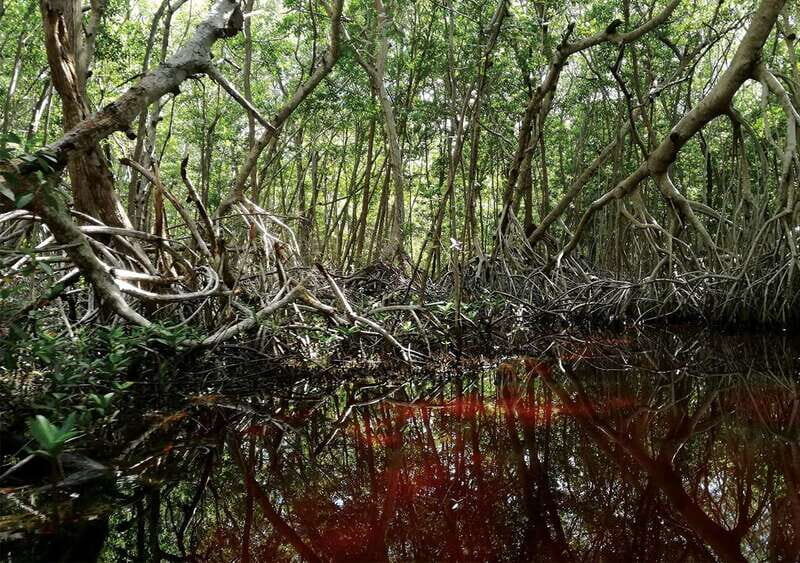 From Mérida: Ria Celestun Biosphere Reserve Tour - Lunch and Additional Activities