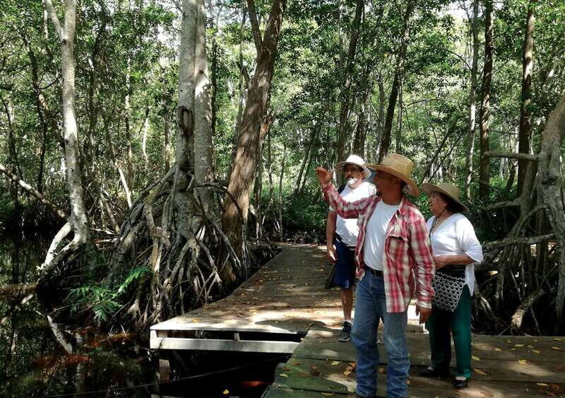From Mérida: Ria Celestun Biosphere Reserve Tour - Duration, Price, and Overall Value