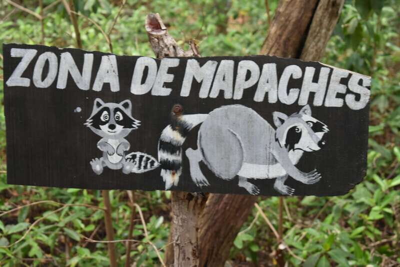 From Merida: Transfer to Celestun and Sisal - Exploring the Details: What to Expect from This Day Trip