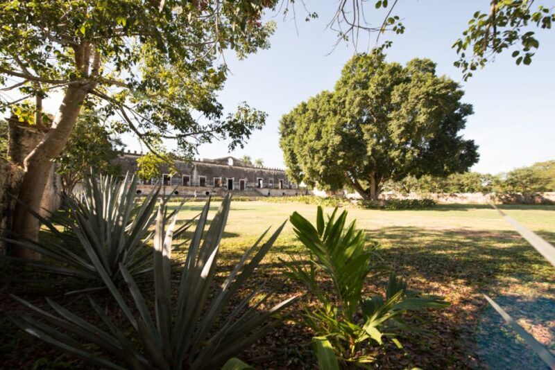 From Merida: Uxmal, Hacienda Yaxcopoil and Cenote with Lunch - What Do the Reviews Say? Real Voices on the Experience