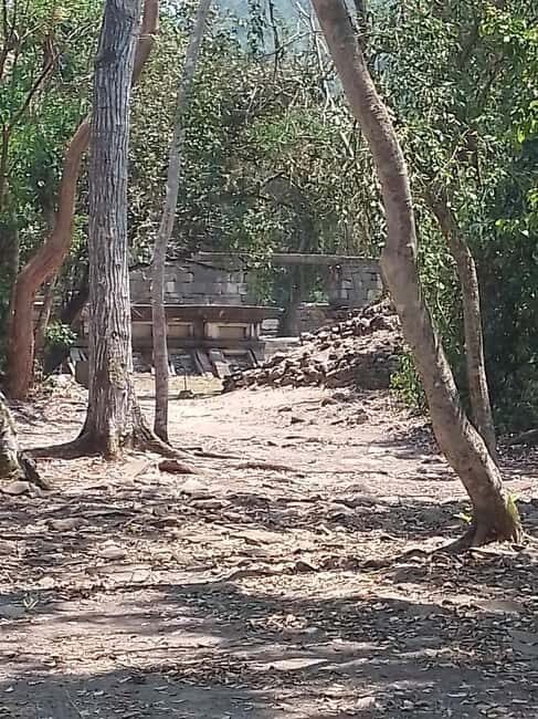 From Mexico City: El Tajín Day Trip with Guide - Who Should Consider This Tour?