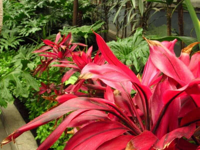 From Mexico City: Magic town Metepec and Toluca - The Logistics and Practicalities