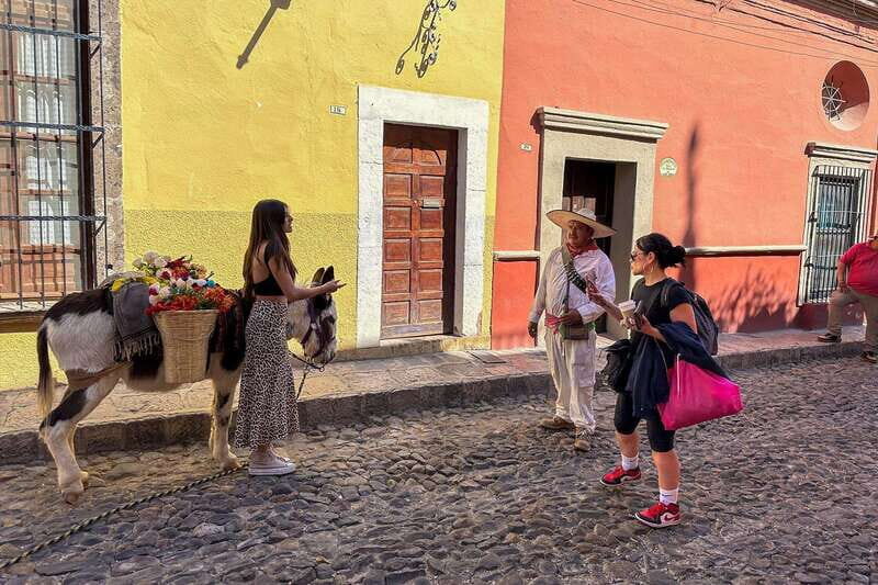 From Mexico City: San Miguel de Allende Day Trip - An Honest Breakdown of the Experience