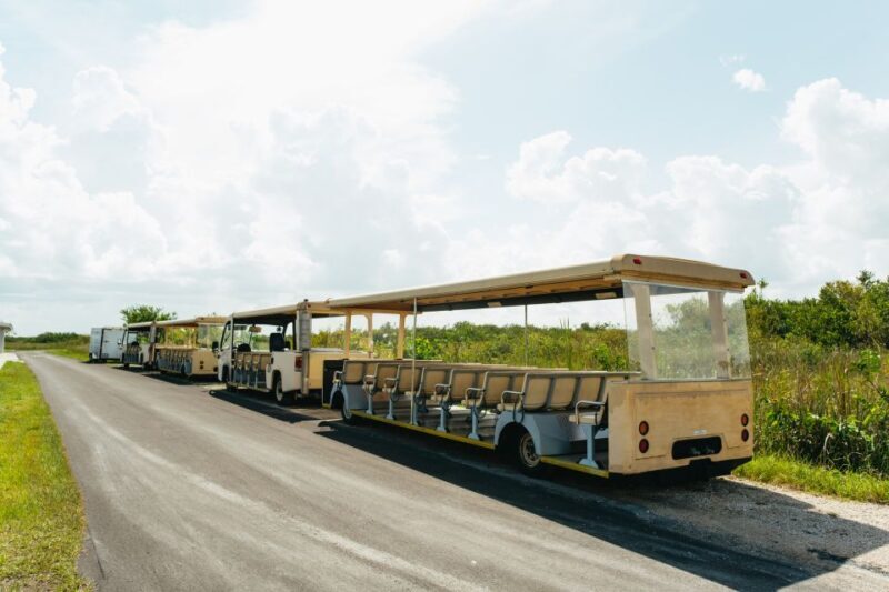 From Miami: Everglades Airboat Ride and Nature Walk - Key Points