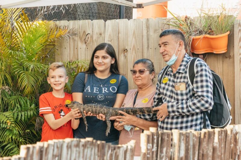 From Miami: Everglades Airboat, Wildlife Show & Bus Transfer - The Practical Details