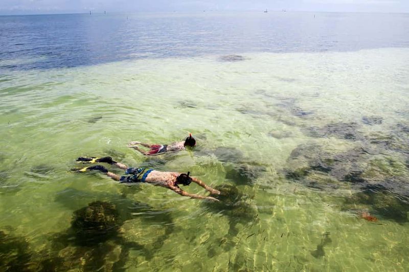 From Miami: Key West Day Tour by Motor Coach Bus - Value for money: is $62 a good deal?