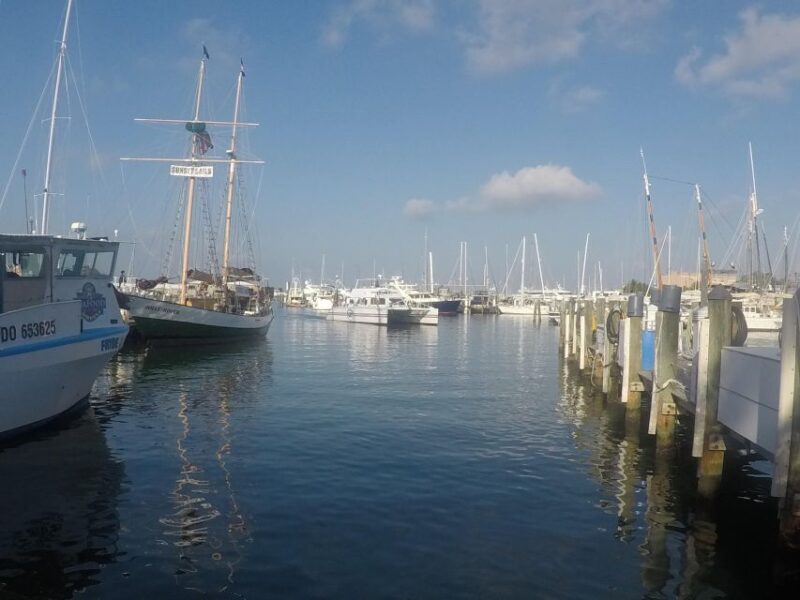 From Miami: Key West Day Trip with Pickup at Selected Hotels - Key Points