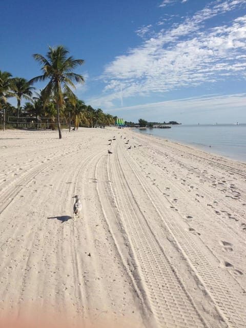 From Miami: Small Group Key West 1-Day Tour - Final thoughts