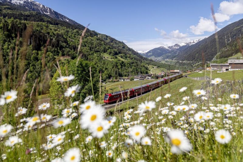 From Milan: Bernina Red Train to St Moritz Guided Tour - Exploring the Scenic Journey to St. Moritz