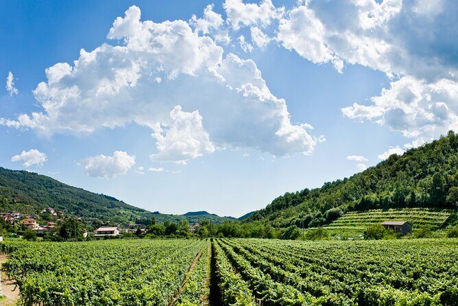 From Milan Full Day in Franciacorta 2 Wineries and Lunch - The Itinerary: What You Can Expect from Start to Finish