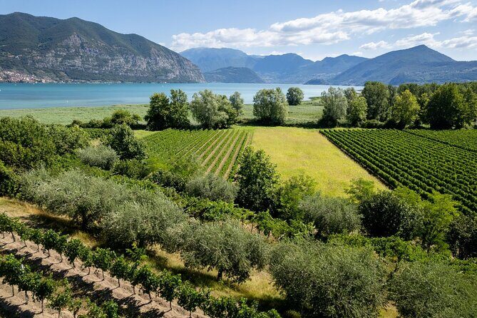 From Milan: Lake Iseo, Bergamo & Franciacorta Wine Tour - Authentic Feedback & Highlights
