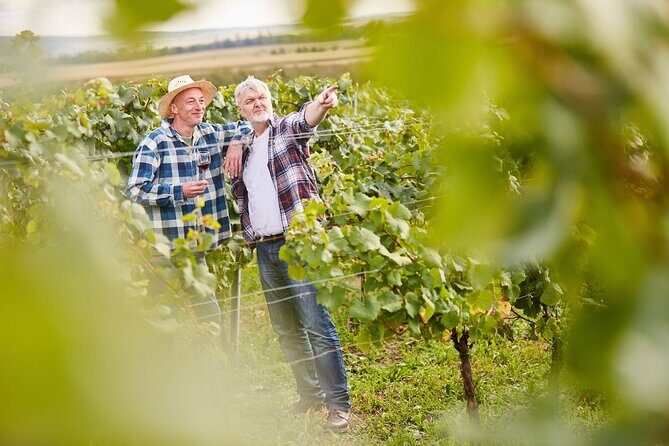 From Milan: Lake Iseo, Bergamo & Franciacorta Wine Tour - FAQ