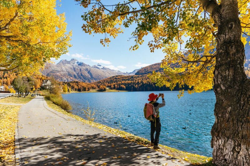 From Milan: St. Moritz and Panoramic Bernina Express Tour - The Itinerary: What Youll Experience