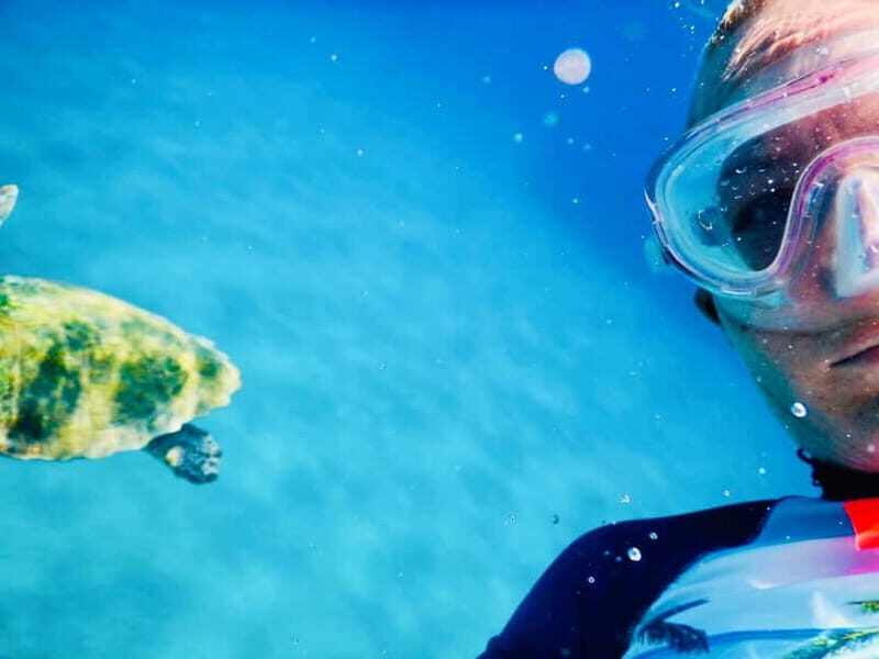 From Milopotas: Ios Island Scenic Snorkeling Cruise - Who Is This Tour Best For?