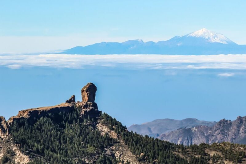 From Mogán/Maspalomas/Arguineguín: Gran Canaria Day Tour - Who Is This Tour Best For?