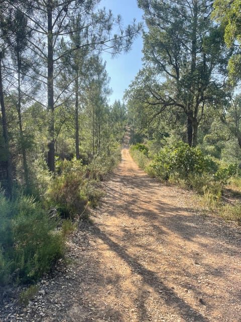 From Montemor or Évora: Guided Hike to Almendres Megalithic - A Detailed Look at What to Expect