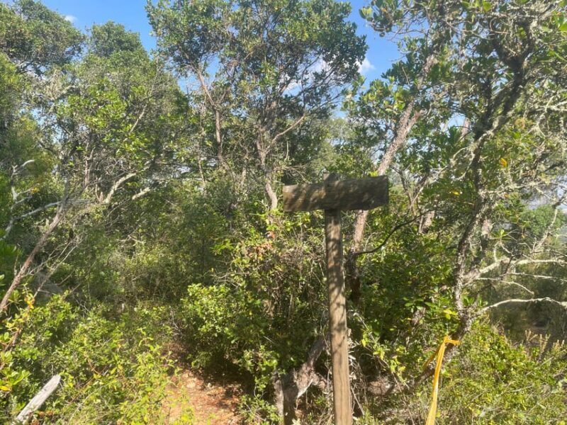 From Montemor or Évora: Guided Hike to Almendres Megalithic - Why This Tour Might Be Perfect for You