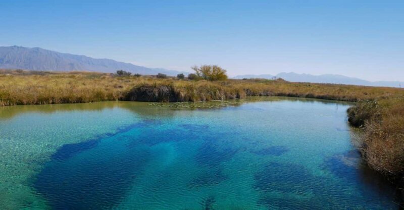 From Monterrey: Tour a Cuatro Ciénegas one day tour - A Closer Look at the Cuatro Ciénegas Day Tour