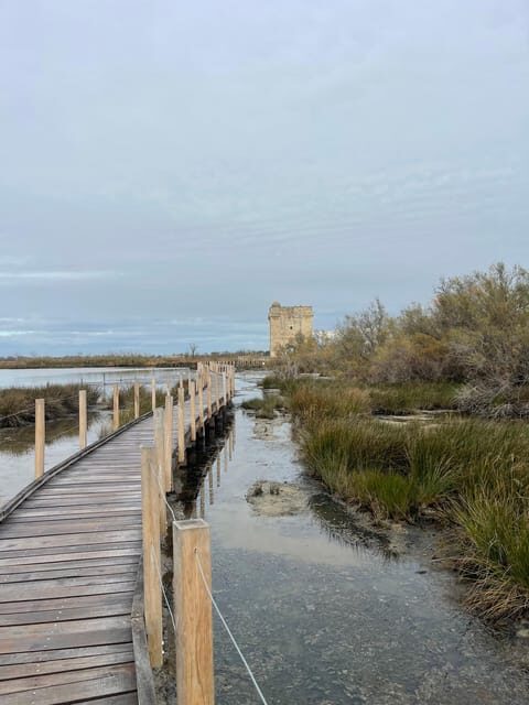 From Montpellier: Camargue and Salt Marshes Guided Tour - Final Thoughts