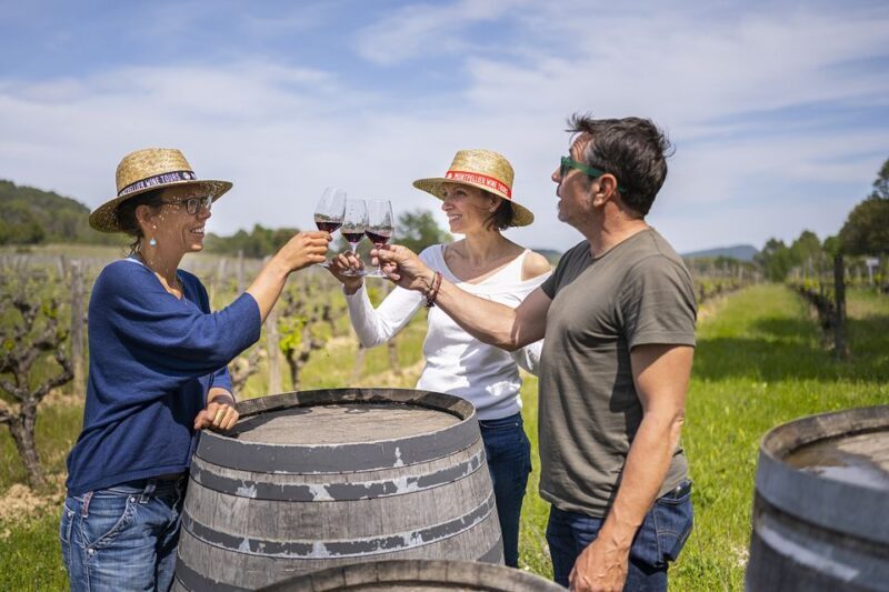 From Montpellier: Half-Day Vineyard & Pic Saint-Loup Tour - What’s the Experience Like?