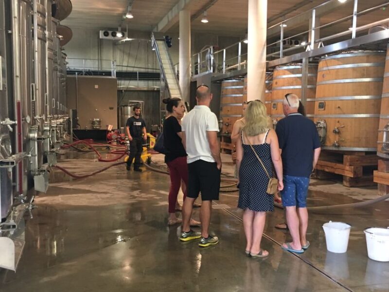 From Montpellier: Half-Day Vineyard & Pic Saint-Loup Tour - The Scenery and Highlights