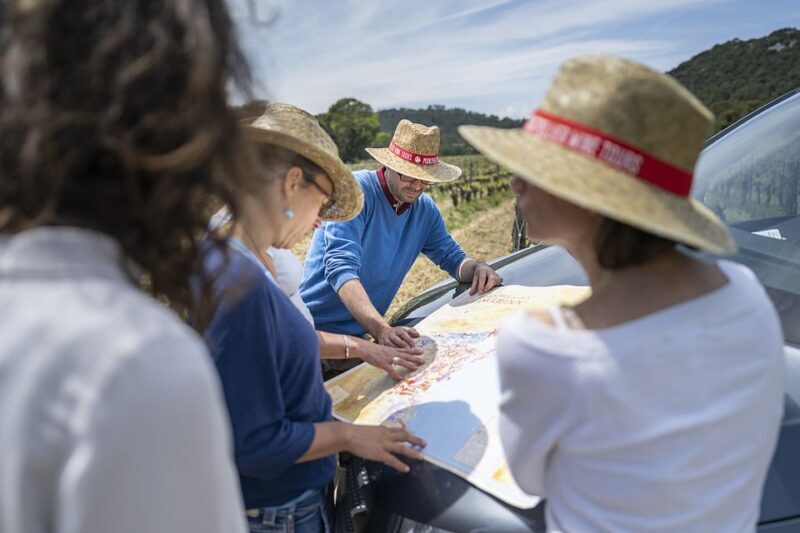 From Montpellier: Half-Day Vineyard & Pic Saint-Loup Tour - Who Would Enjoy This Tour?