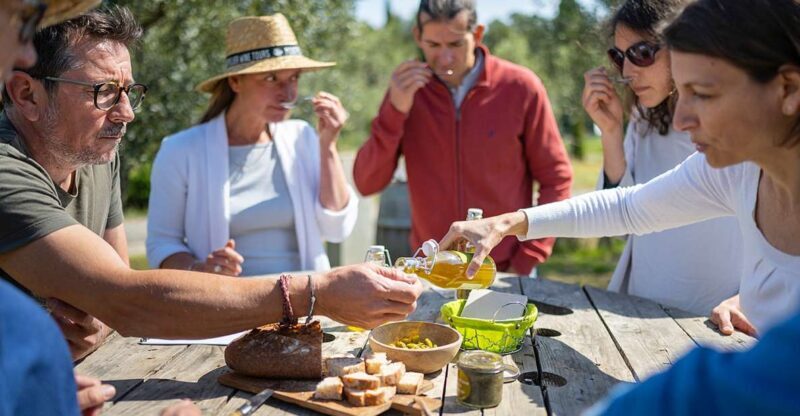 From Montpellier: Wine and Olive Tour - What Makes This Tour Stand Out?