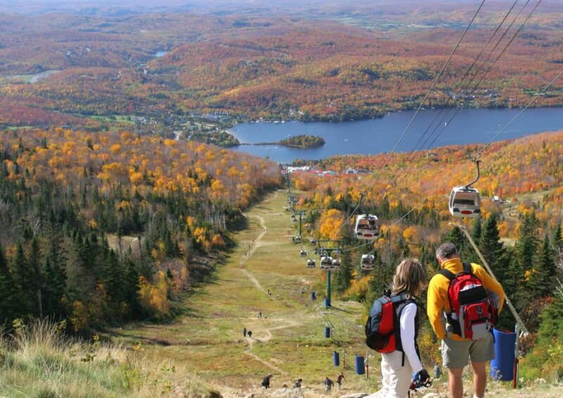 From Montréal: Mont-Tremblant 1-Day Tour - Who Will Love This Tour?