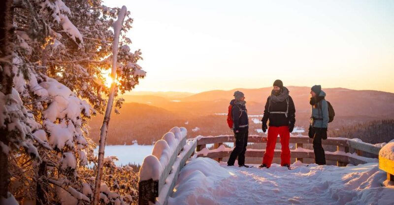 From Montreal: Mont-Tremblant National Park Hiking Day Trip - What to Expect on the Day