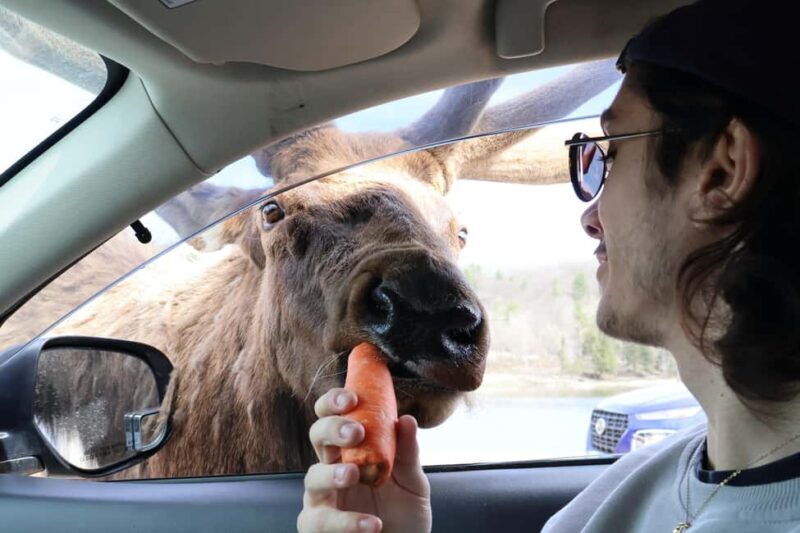 From Montreal: Omega Park Wildlife Safari Calling Sounds - The Landscape and Natural Habitat