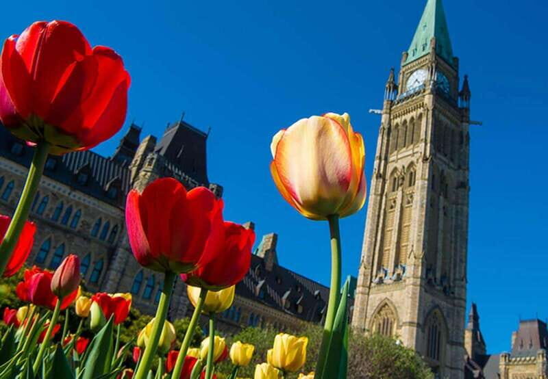 From Montreal: Private Ottawa Full Day Tour - Why Choose This Private Ottawa Day Tour?