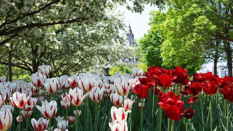 From Montreal: Private Ottawa Full Day Tour - What Could Be Better?