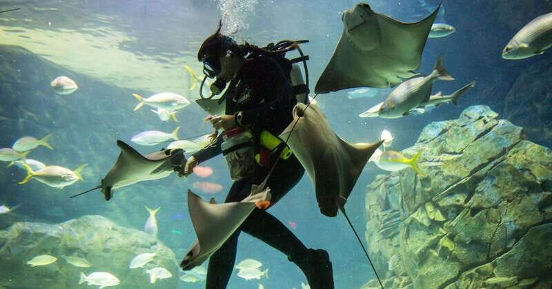 From Montreal: Toronto, Niagara Falls & 1000 Islands Tour - The Logistics & Value