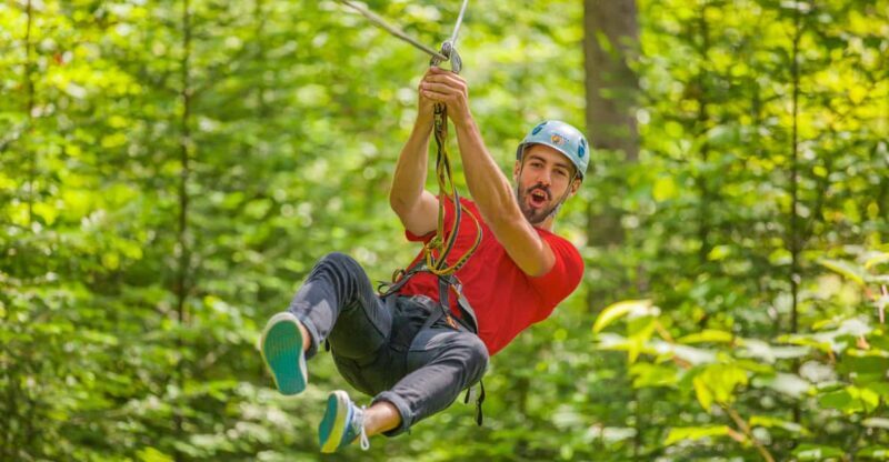 From Montreal: Treetop Trek, Ziplines + beach or waterfall. - An Overview of the Experience