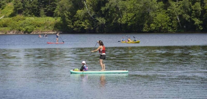 From Montreal: Treetop Trek, Ziplines + beach or waterfall. - Who Would Love This Tour?