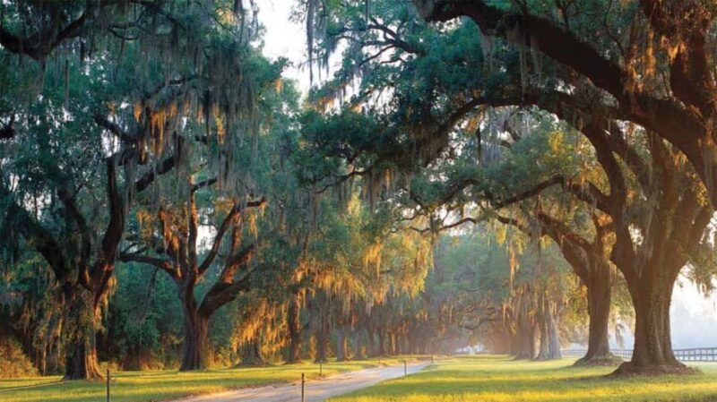From Myrtle Beach: Charleston Day Trip, Boone Hall & Cruise - Final Thoughts: Is This Tour Right for You?